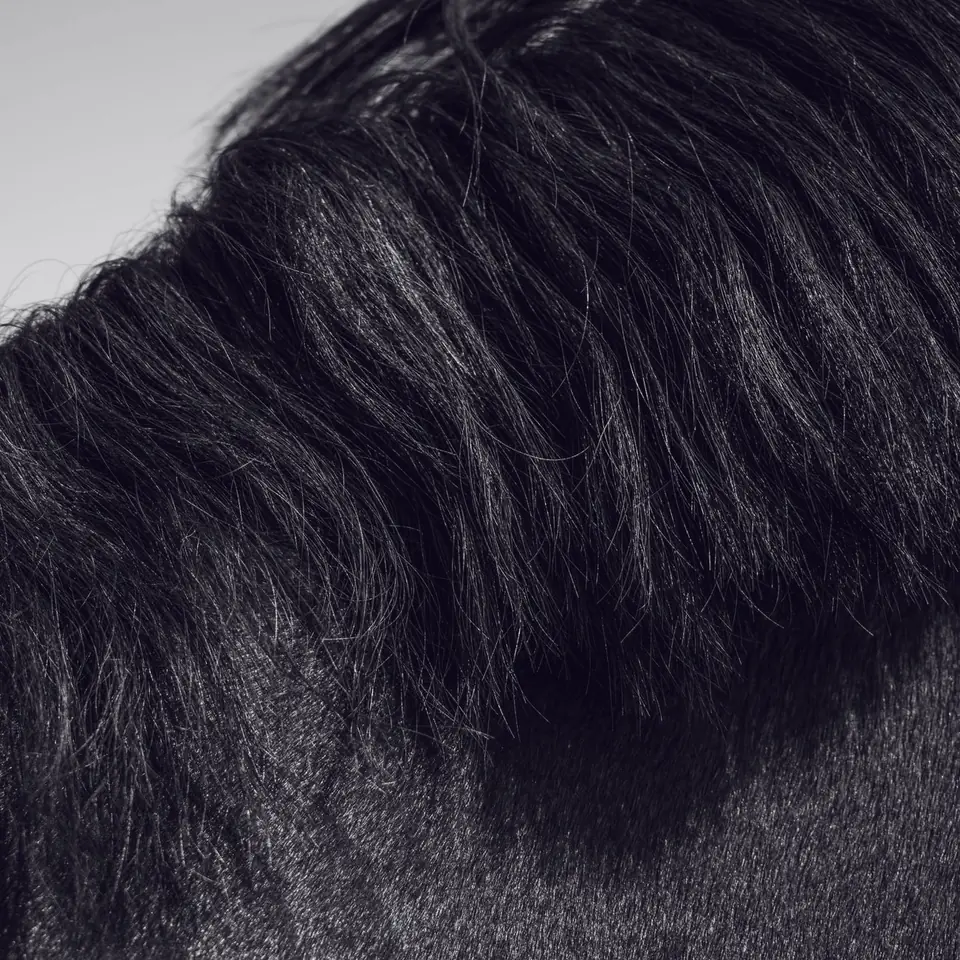Close-up of swept dark hair above a closely clipped side